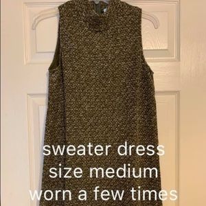 Turtle neck sweater dress